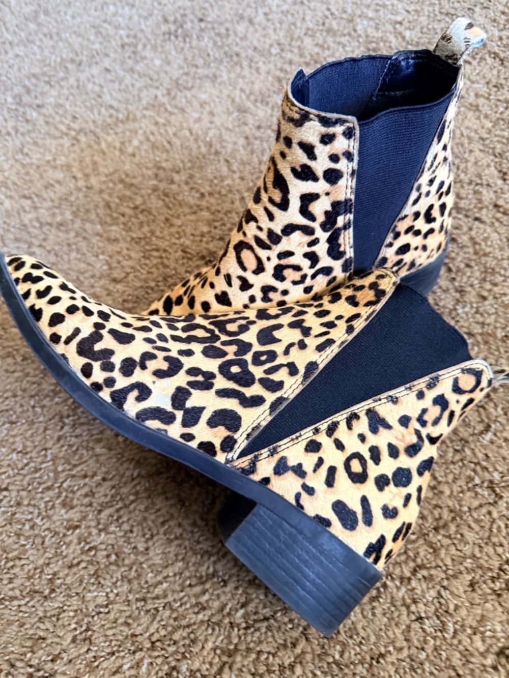 Steve Madden Leopard Print Chelsea Booties in Tan and Black